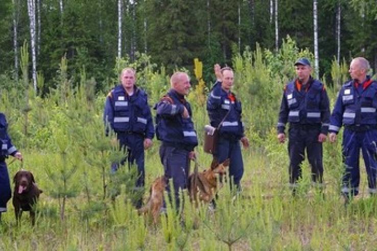 Спасатели жителям Ленинградской области